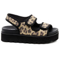 Rocket Dog Balmy Dexter Sandali In Tessuto Da Donna Color Cuoio/Nero